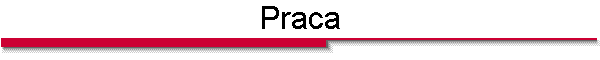 Praca